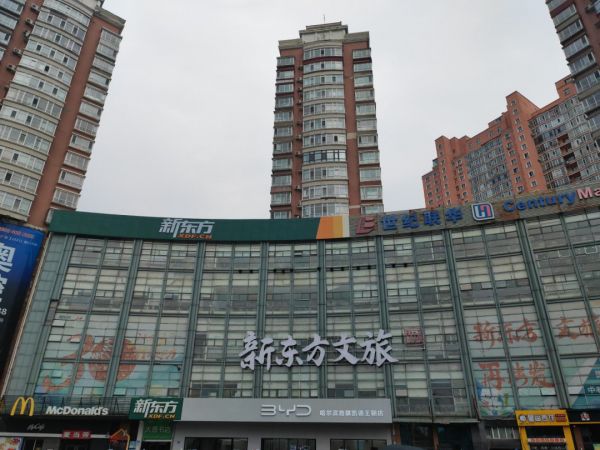 “钱房两空”！哈尔滨一女子5000万元购买法院查封房后遭遇了什么