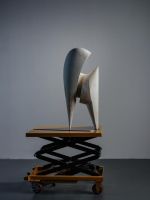 艺术家如何渡水逆？中国旅法雕塑家郭成东中国首展