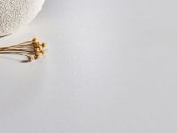 市场前瞻：箭牌瓷砖2024秋季新品发布会，新一代微光花园系列登场！