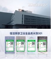 荣膺双奖，恒洁载誉2024国际绿色零碳节