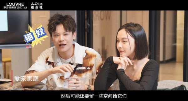 家有“喵星人”如何装修?来看看人气博主的“适宠化”设计