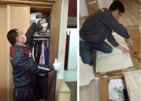 日日顺定制差异化服务方案，助力顾家家居打造“干支装分离”模式样板