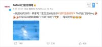 冠军致敬冠军，TATA木门借势奥运营销，传递自我挑战与追求卓越的品牌精神！