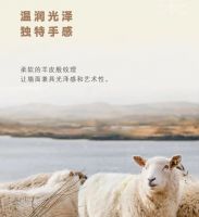 蓝天豚艺术涂料丨瓷化纯浆，还原自然之美，打造光彩夺目的墙面！