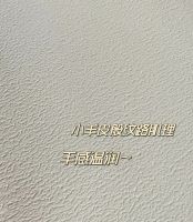 蓝天豚艺术涂料丨瓷化纯浆，还原自然之美，打造光彩夺目的墙面！