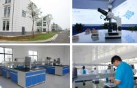 喜报！蓝天豚成功入选2024年第一批国家级科技型中小企业