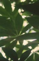 倒计时1天！精彩看点，提前知晓