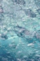 倒计时1天！精彩看点，提前知晓