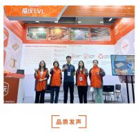 现场火热！福庆LVL广交会首日开门红