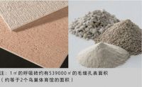 秋色入我家，贴在墙上的「空气净化器」