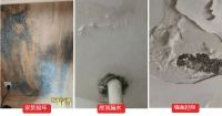 铃鹿防水全效石纹外墙，让家无惧风雨！