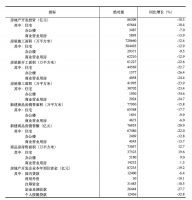 前10个月，全国房地产市场开发投资同比下降10.3％