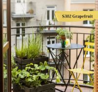 广州设计周丨芬琳涂料用色彩定义家的每一种可能