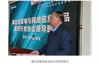 绿色先行，智慧引领——金马凯旋家居集团智能家电馆招商发布会成功举办