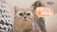聚焦当代养宠青年情感需求，中国联塑×领尚×《城室人》传递温暖治愈的生活能量