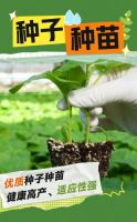 联塑农业种植产品合集，让你的种植“节本增效”!