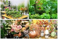 2025灵感园林·仿真植物博览会重磅官宣，邀您共襄盛会！