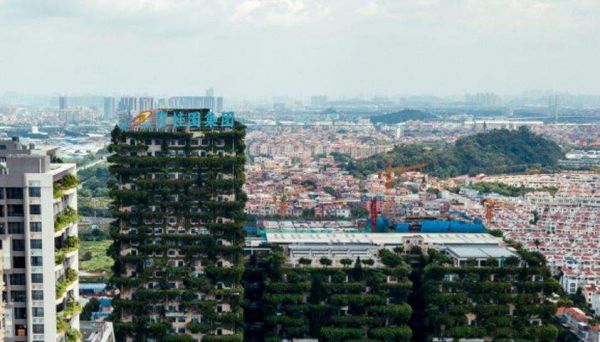 碧桂园补发两份财报，国内未售权益货值超6000亿，将审慎重启投资拿地