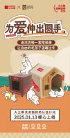 春节暖心行动：大王椰“温暖喵屋计划”点燃新年爱意