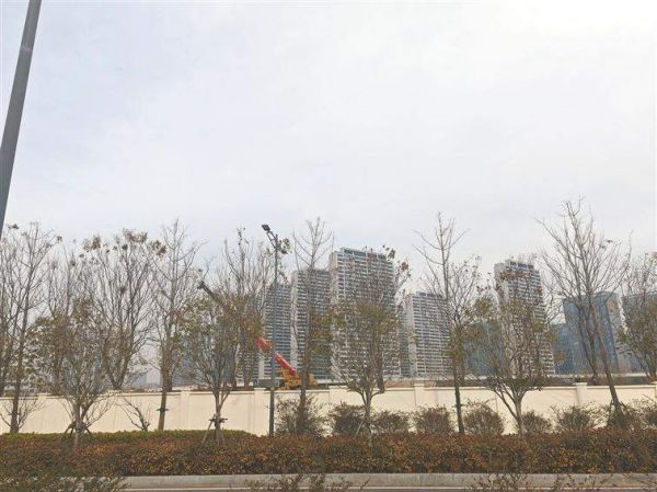 76个楼盘春节“不打烊” 南京楼市释出积极信号