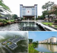 国寿红木陈淦凡：五大方式助力非遗红木“火起来”