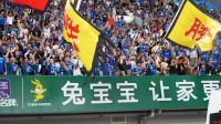 “宿”战告捷“泰”酷啦！兔宝宝继续“家”油助阵苏超