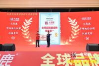 行业标杆！大角鹿荣获“快速成长标杆企业”“广东好建材”等奖项