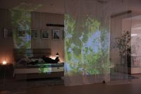 斯丽比迪上海新店启幕，解锁高端睡眠新地标